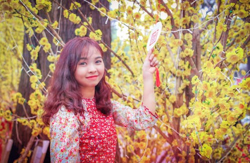 Free stock photo of asian girl, beautiful flowers, tet holiday