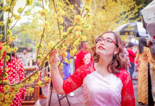 Donna Che Indossa Rosso E Bianco Camicia A Maniche Raglan Che Tiene Ramo Di Albero In Fiore Giallo