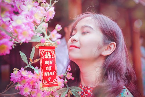 tet假日, 亞洲女孩, 美麗的花朵 的 免费素材图片