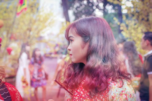 Free stock photo of asian girl, beautiful flowers, tet holiday