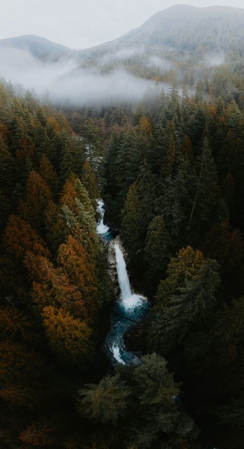 Free Breathtaking aerial view of a waterfall cascading through a vibrant autumn forest in Vancouver. Stock Photo