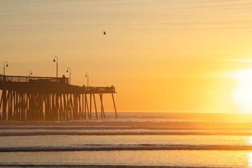 Seashore Panorama with a Wooden Pier at Sunset, Pismo Beach, USA