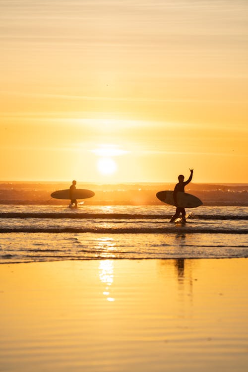 Men Holding Surfboards Walking along Beach at Sunset