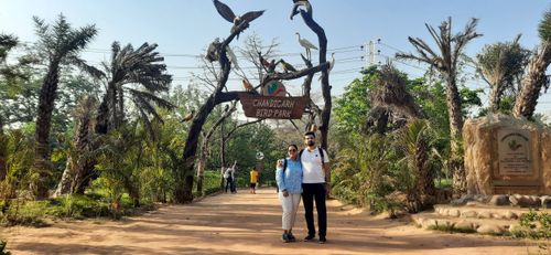 Free World's rare Birds in Bird Sanctuary Park, Chandigarh Stock Photo