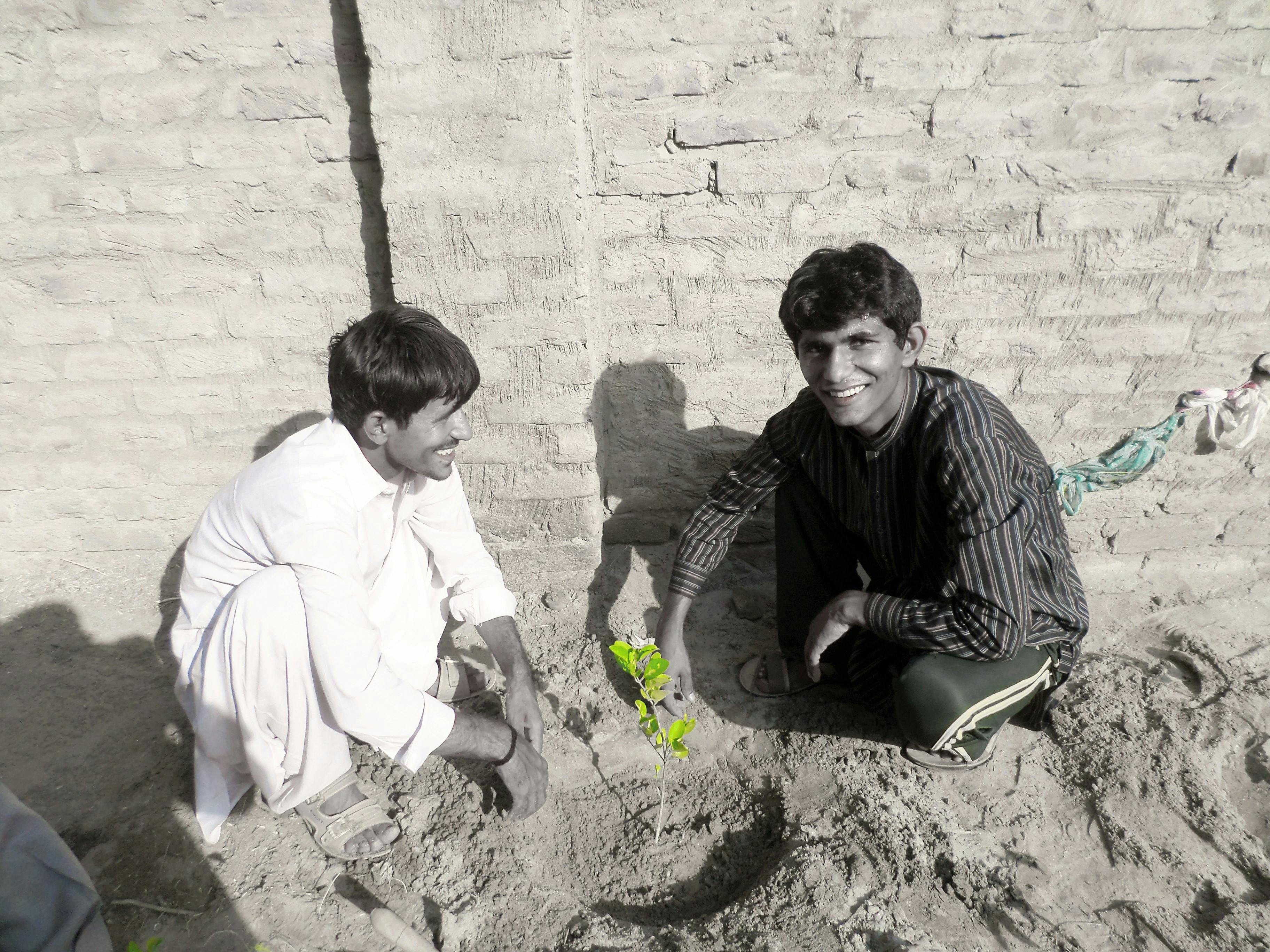 Graphs and analytics on screen