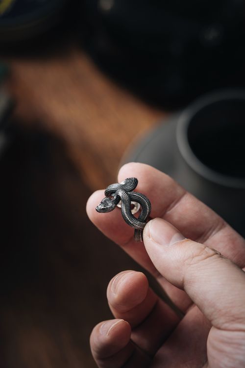 Free Elegant close-up of a hand holding a detailed silver snake ring, perfect for jewelery enthusiasts. Stock Photo