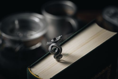 Free A close-up of a snake-shaped silver ring elegantly resting on an antique book, creating a mysterious still life composition. Stock Photo