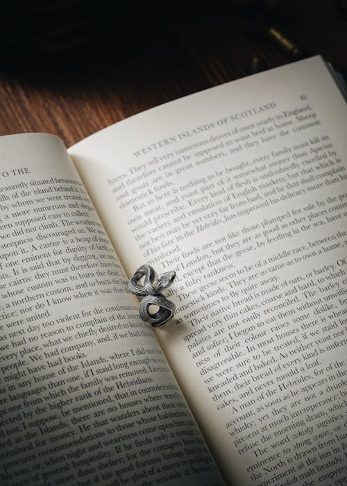 Snake Shaped Ring on Open Book