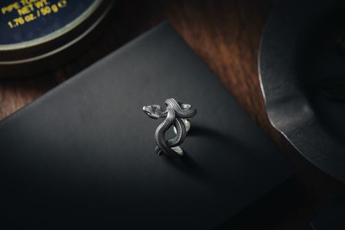 Free A stylish silver snake-shaped ring elegantly placed on a black notebook, showcasing intricate details and elegance. Stock Photo