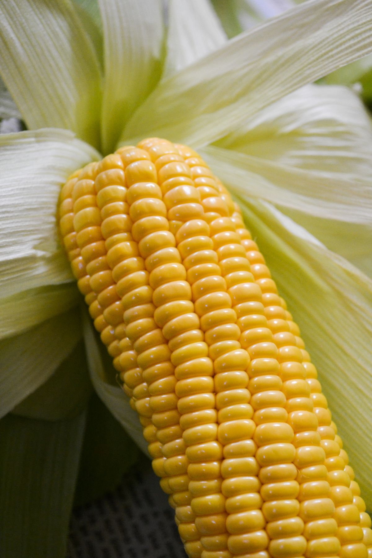 Sweet corn