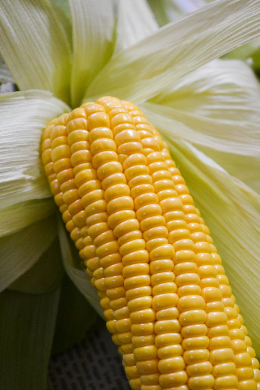 Sweet Corn