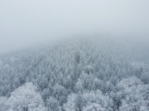 Ingyenes stockfotó DJI, drón témában