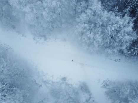 Drone shot of a snow-covered road through a pine forest in wintery Grandfontaine, France.