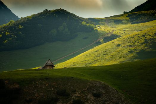 Small mountain cottage and grazing sheep