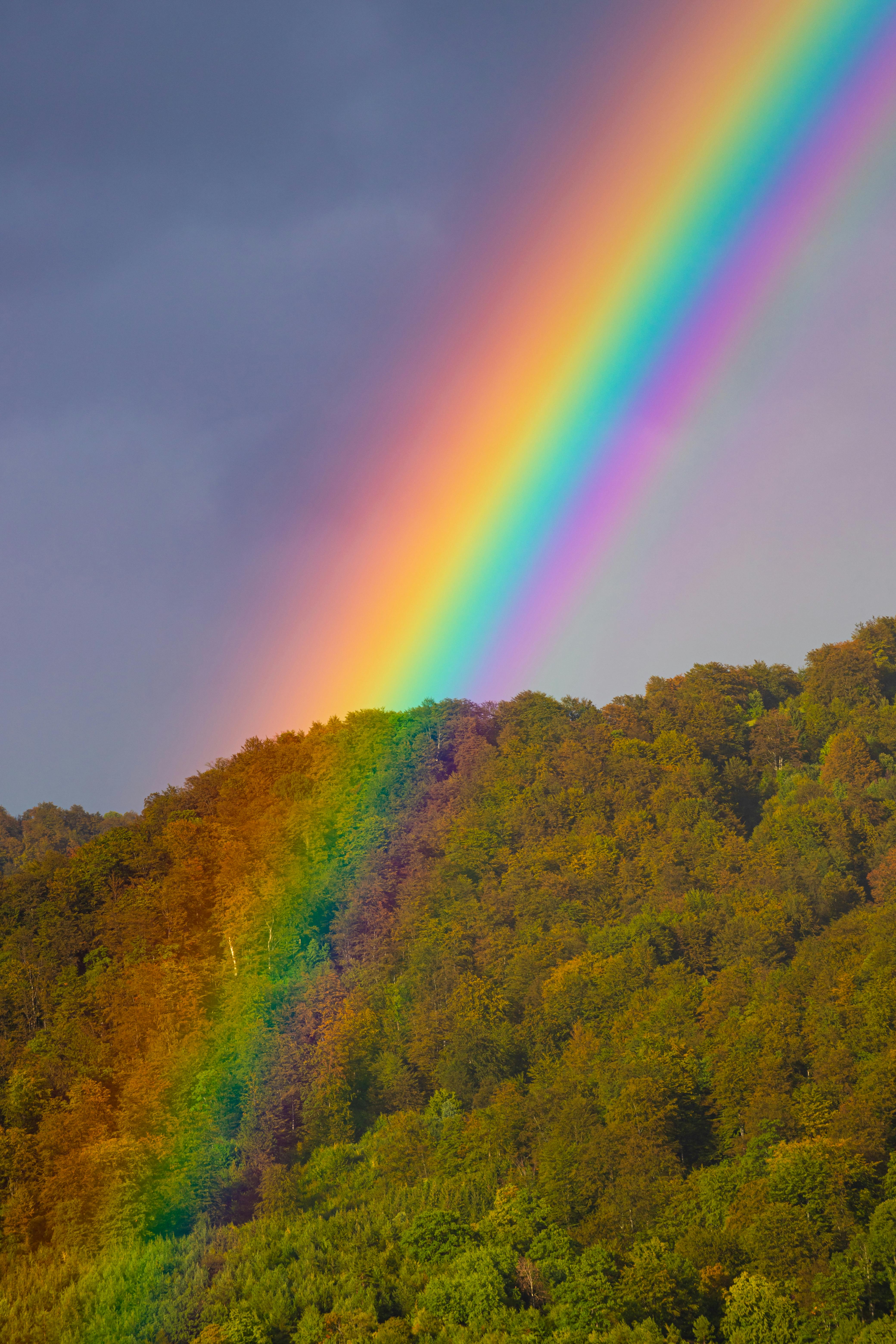 A stunning rainbow arcs over a lush forest in Bosnia, showcasing vibrant colors against a dramatic sky.