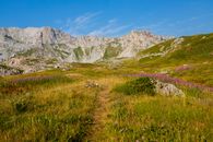 Explore a vibrant meadow with majestic mountains under a clear summer sky.