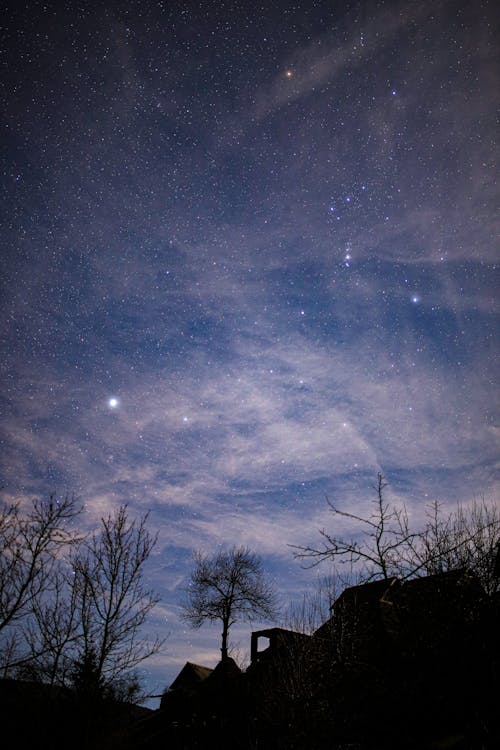 Foto d'estoc gratuïta de arbres, astronomia, camp estrella