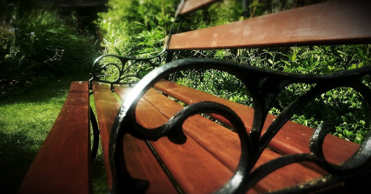 Free stock photo of bench, garden, park bench