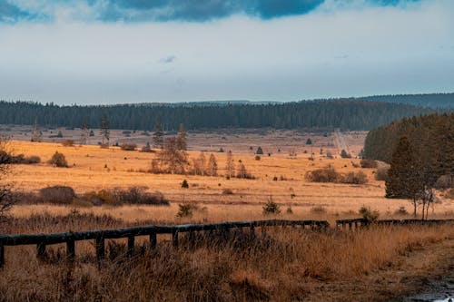 Gratis lagerfoto af gangsti, landskab, lavland