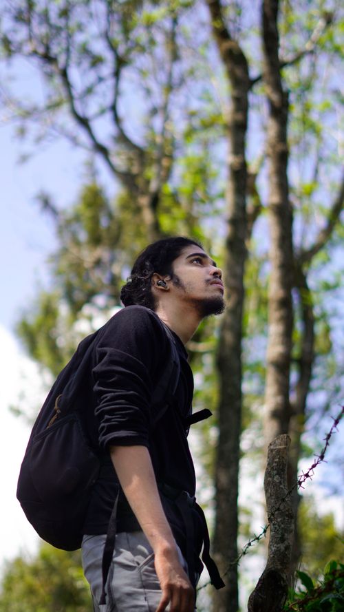 Free A young man looks up thoughtfully in a lush forest, carrying a backpack on a bright day. Stock Photo