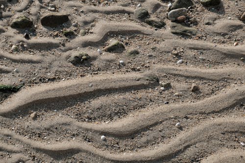Ilmainen kuvapankkikuva tunnisteilla hiekka, hiekkaranta, jauhettu