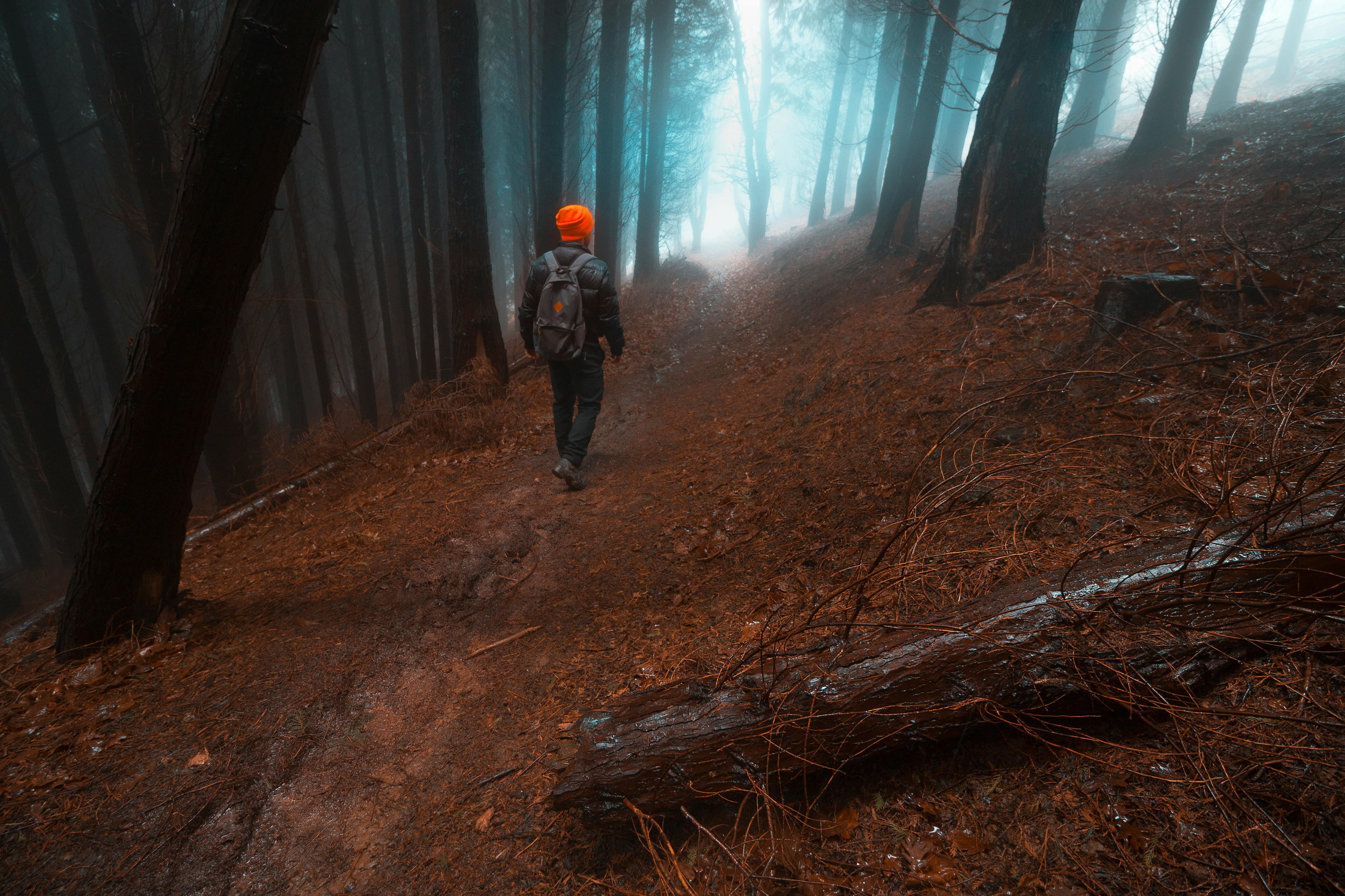 person walking a winding path through a misty forest, looking ahead