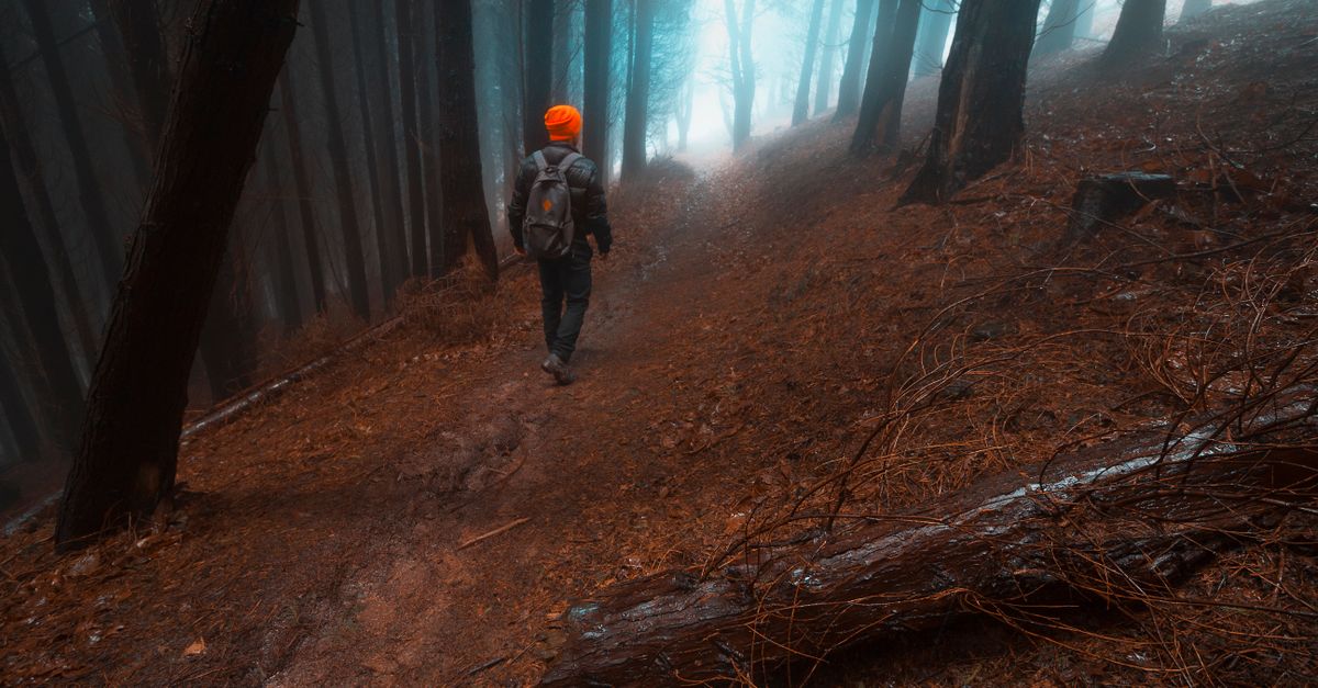 person walking a winding path through a misty forest, looking ahead