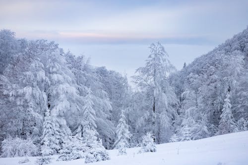 Gratis Foto stok gratis dingin, gunung berselimut salju, indah Foto Stok