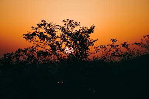 免費 太陽, 日落, 景觀 的 免費圖庫相片 圖庫相片