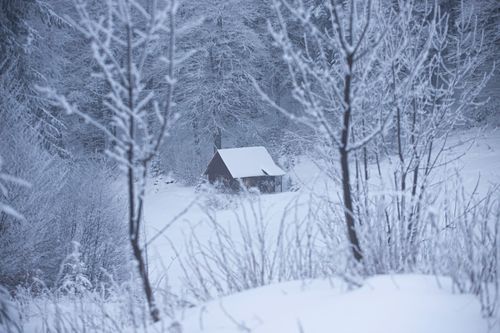Free A secluded wooden cabin surrounded by snowy trees in Bosnia's winter landscape. Stock Photo