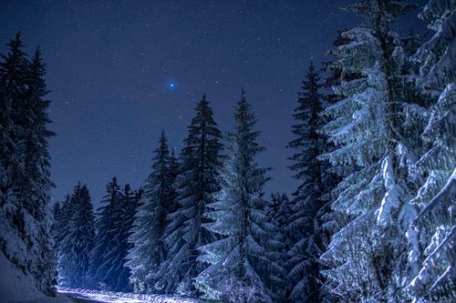 Free Snow-covered Bosnian forest under a starry night sky capturing the serene beauty of winter. Stock Photo