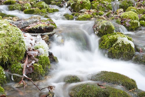 Moss on Rocks around Waterfall on Stream