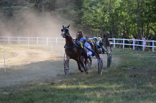 Free Exciting horse racing event showing speed and agility of horses and jockeys. Stock Photo