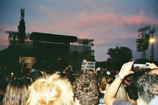 Vibrant outdoor concert scene with a lively crowd and sunset backdrop, capturing the essence of summer music festivals.