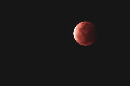 Kostenloses Stock Foto zu blutmond, dunkel, dunklen nacht