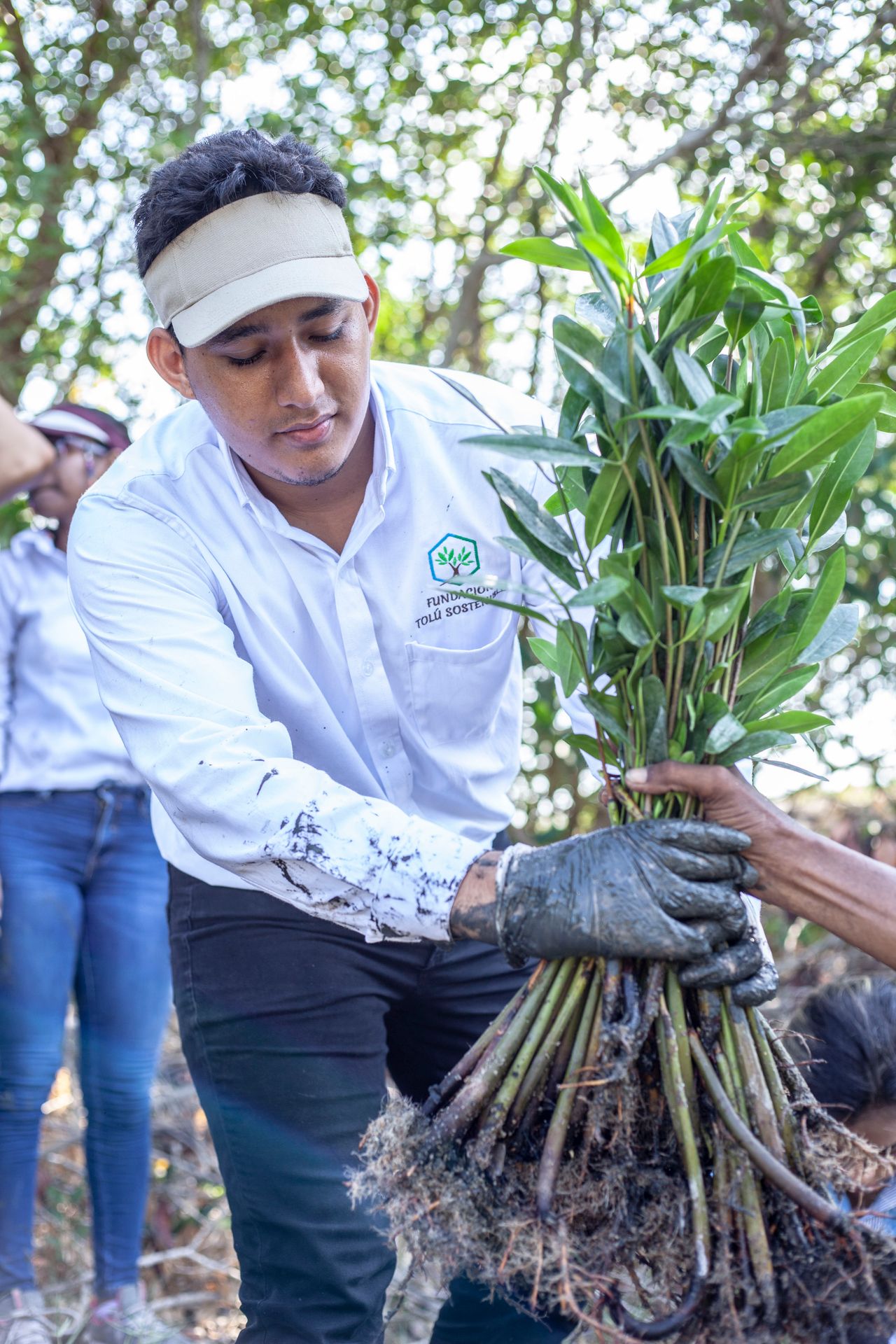 Persona sembrando un árbol como parte de una actividad de reforestación.