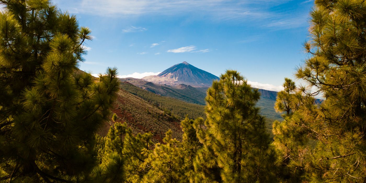 Mount Teide volcano rising above the crater floor in Tenerife under a clear sky