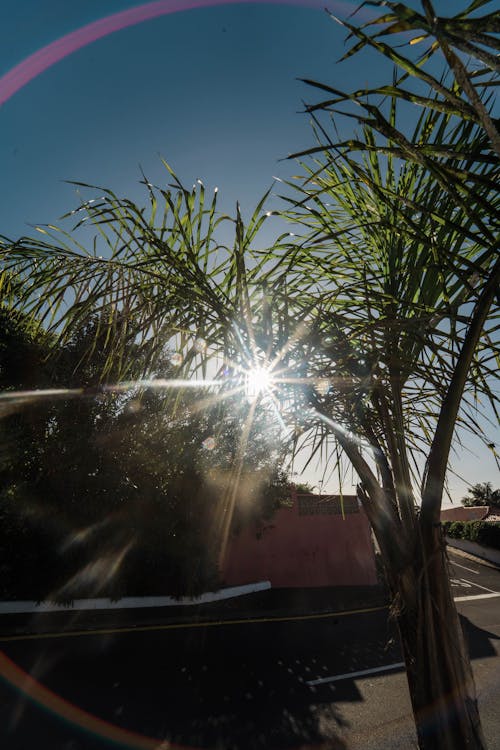 Fotos de stock gratuitas de España, llamarada del sol, destello solar, naturaleza