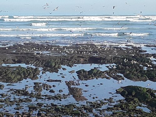 Free stock photo of beach, beautiful, casablanca Stock Photo