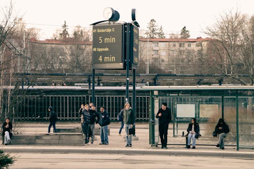 Bus Stop