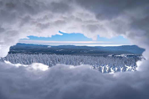 A breathtaking winter landscape of snow-covered trees and distant mountains viewed through a snowy gap.