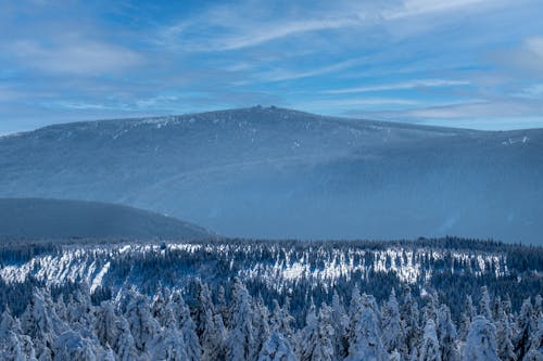 View of Mountains in Winter 