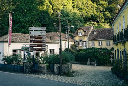 Casa De Hormigón Blanco Rodeada De árboles