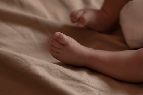 Free Close-up of Newborn Baby Feet  Stock Photo