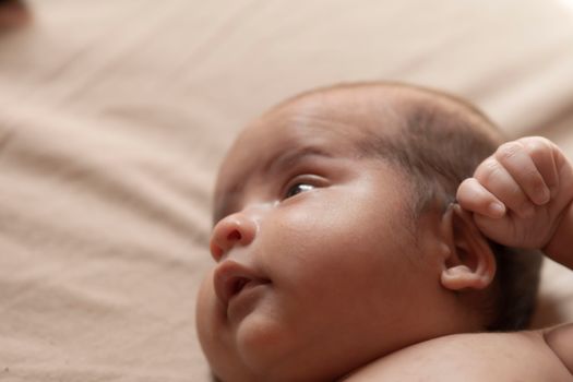 Free stock photo of baby, bebe, child