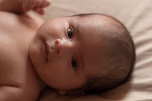 Free stock photo of baby, bebe, birth