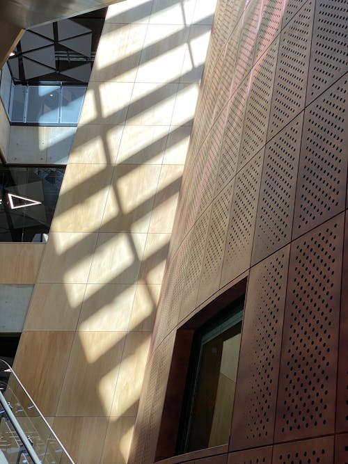 View of Shadows on a Wall of a Modern Building 
