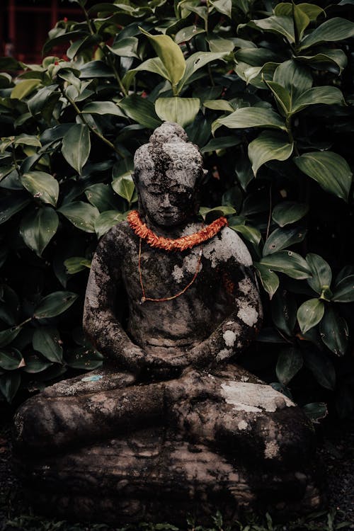Безкоштовне стокове фото на тему «Будда, вертикальні постріл, камінь»
