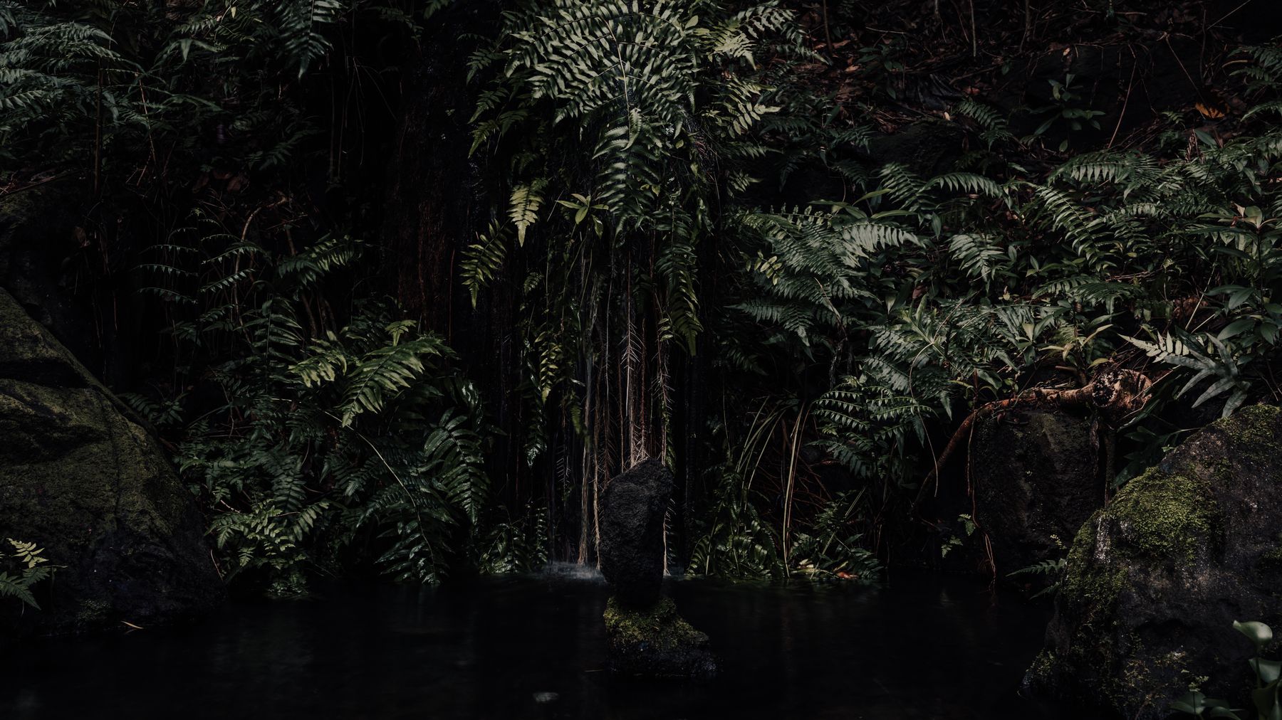 Serene scene of dense jungle foliage surrounding a rock pool in Honolulu, Hawaii.