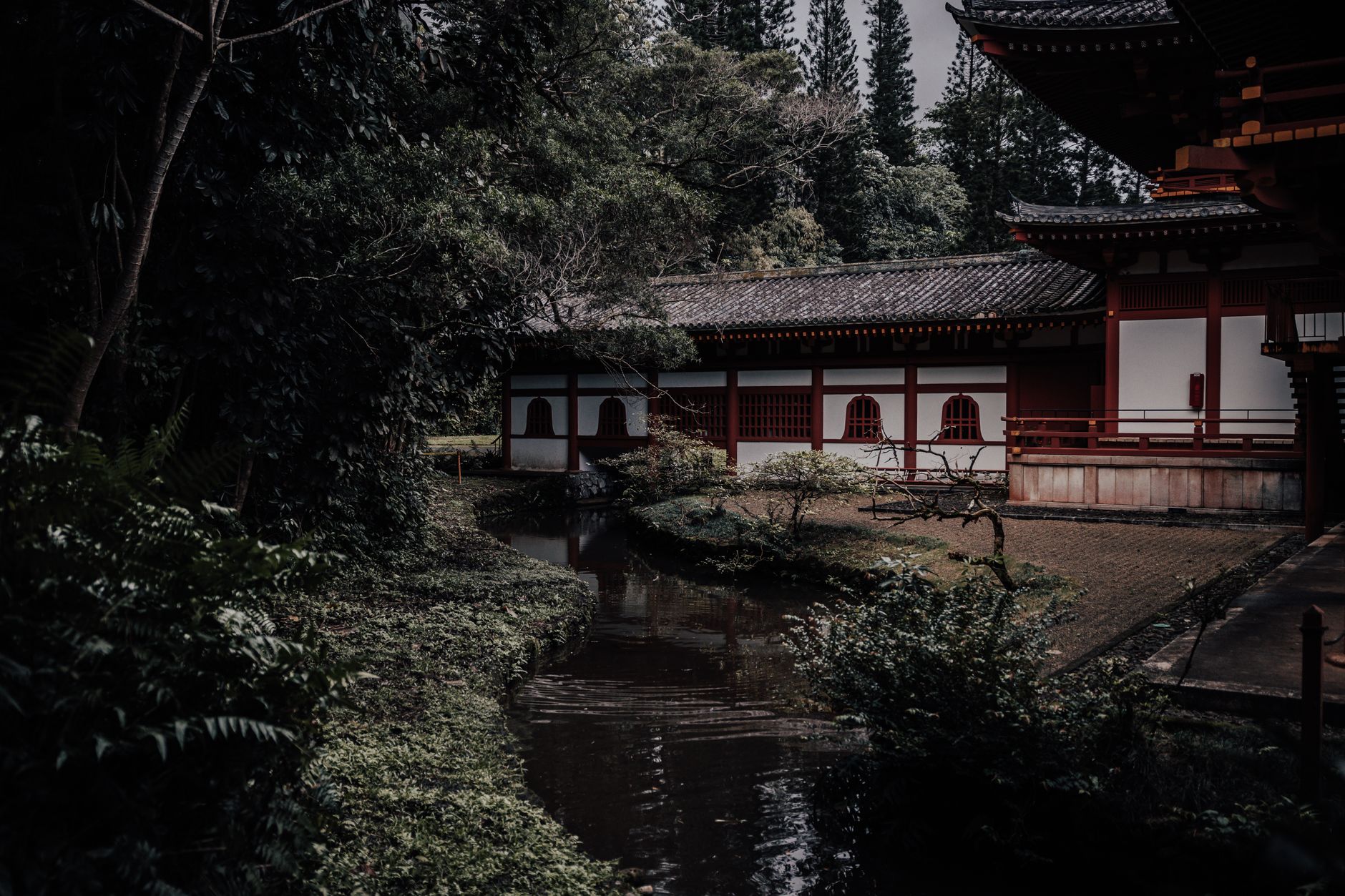 Foster Botanical Garden